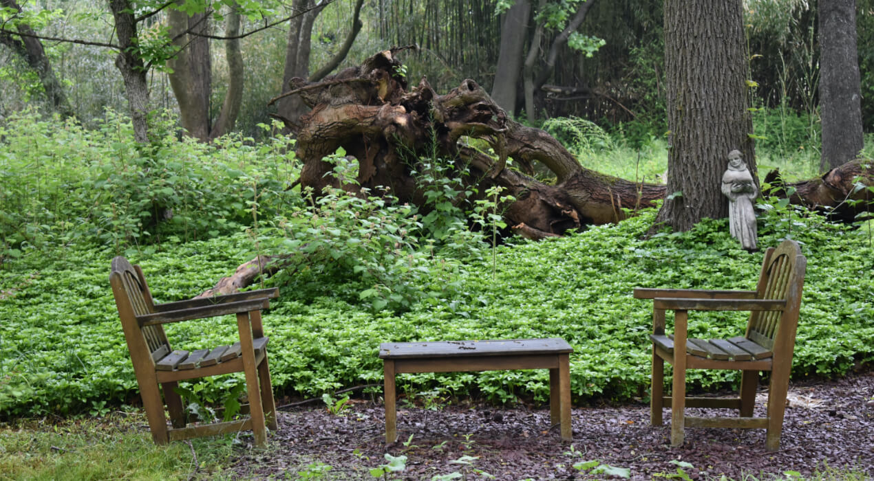 Two chairs and a small table set up in the forest